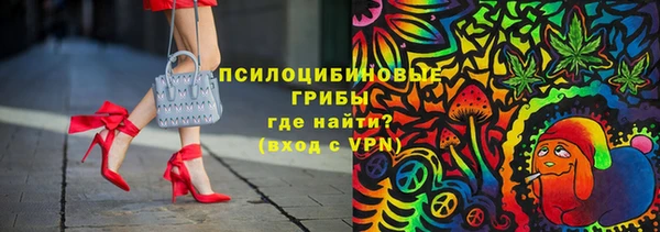 бошки Арсеньев