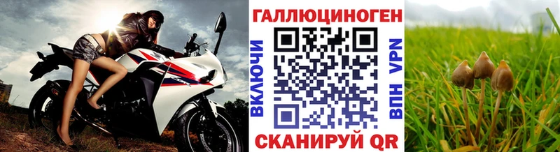 Псилоцибиновые грибы GOLDEN TEACHER цена Приозерск